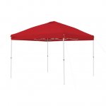 Ozark Trail 10'x 10'Simple Push Straight Leg Canopy (100 Sq. ft.)